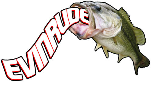 Evinrude Bass Decal Red